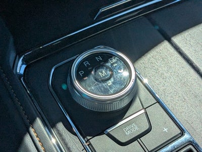 2024 Ford Expedition Platinum